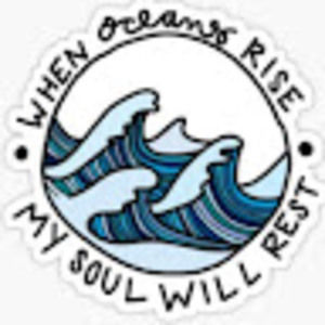 Meet your Posher, Charlotte